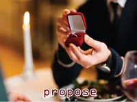 Definition & pronunciation of propose