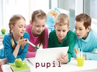 Definition & pronunciation of pupil