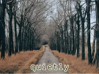 Definition & pronunciation of quietly