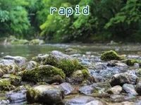 Definition & pronunciation of rapid