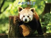 Definition & pronunciation of rarely