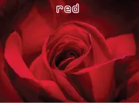 Definition & pronunciation of red