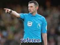 Definition & pronunciation of referee