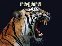 Definition & pronunciation of regard