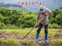 Definition & pronunciation of regional