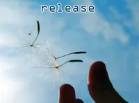Definition & pronunciation of release
