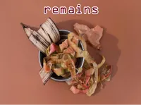 Definition & pronunciation of remains