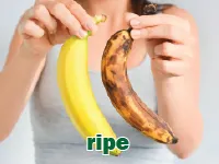 Definition & pronunciation of ripe