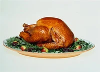 Definition & pronunciation of roast