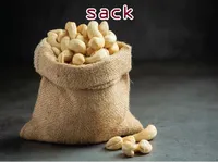 Definition & pronunciation of sack