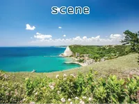 Definition & pronunciation of scene