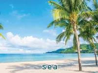 Definition & pronunciation of sea