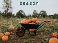 Definition & pronunciation of season