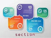 Definition & pronunciation of section