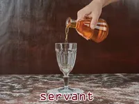 Definition & pronunciation of servant