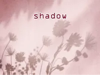 Definition & pronunciation of shadow