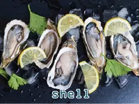 Definition & pronunciation of shell