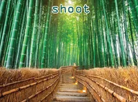 Definition & pronunciation of shoot
