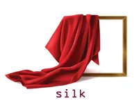 Definition & pronunciation of silk