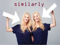 Definition & pronunciation of similarly