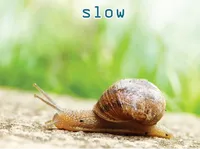 Definition & pronunciation of slow