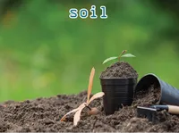 Definition & pronunciation of soil