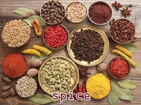 Definition & pronunciation of spice