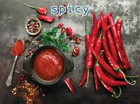 Definition & pronunciation of spicy