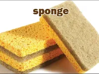 Definition & pronunciation of sponge