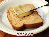 Definition & pronunciation of spread