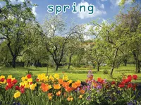 Definition & pronunciation of spring