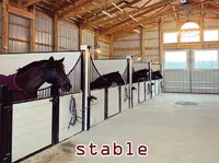 Definition & pronunciation of stable