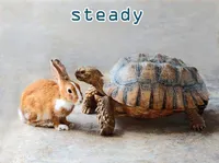 Definition & pronunciation of steady