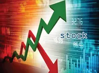 Definition & pronunciation of stock