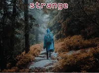 Definition & pronunciation of strange
