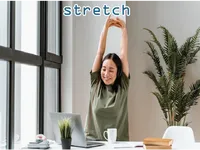 Definition & pronunciation of stretch