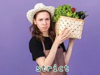 Definition & pronunciation of strict