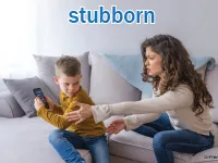 Definition & pronunciation of stubborn