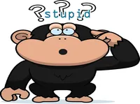 Definition & pronunciation of stupid