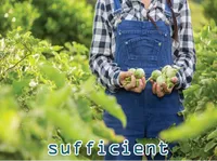 Definition & pronunciation of sufficient