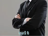 Definition & pronunciation of suit