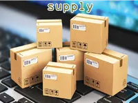 Definition & pronunciation of supply