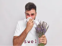 Definition & pronunciation of swell