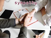 Definition & pronunciation of sympathy