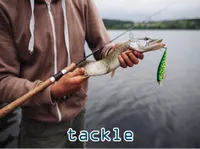 Definition & pronunciation of tackle