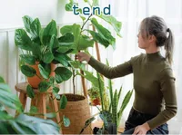 Definition & pronunciation of tend