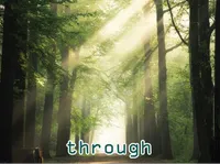 Definition & pronunciation of through