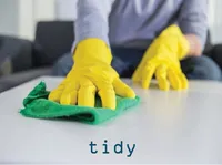 Definition & pronunciation of tidy