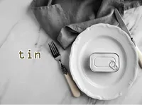 Definition & pronunciation of tin