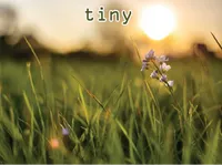 Definition & pronunciation of tiny